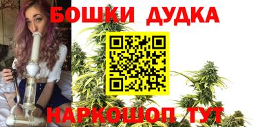 прущий лед Новозыбков