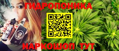 спайс Новодвинск