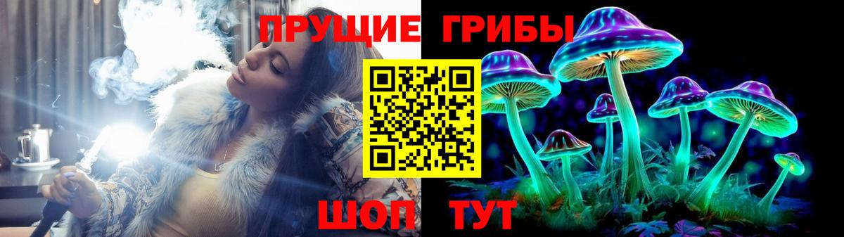 Галлюциногенные грибы GOLDEN TEACHER Строитель